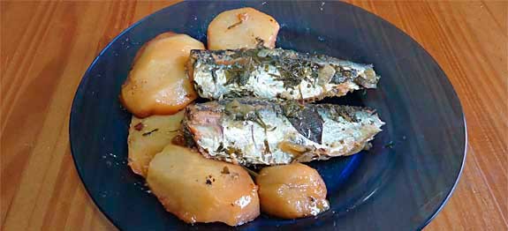 sardinha12b1-575x262