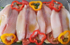 File-de-tilapia-no-forno-e-um-peixe-bem-versatil-pois-ele-pode-se-transformar-em-um-delicioso-file-1