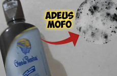 Misturinha-caseira-para-eliminar-o-mofo-das-paredes-com-produtos-que-voce-tem-em-casa-2-1