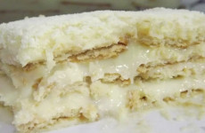 Pave-de-leite-Ninho-delicioso-uma-receita-muito-pratica-que-ate-crianca-consegue-preparar-1