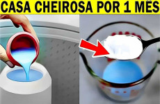 cheirinho-para-casa-04-0711-1