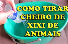 como-tirar-o-cheiro-de-urina-de-animais-08-0811