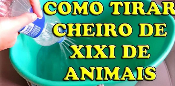 como-tirar-o-cheiro-de-urina-de-animais-08-0811