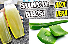 shampoo-de-babosa-23-0811