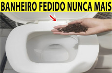 truque-caseiro-para-limpar-vaso-sanitario-04-0811