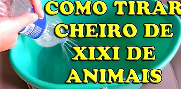 como-tirar-cheiro-de-urina-de-animais-08-0911