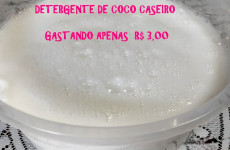 detergente-de-coco-caseiro-20-0911