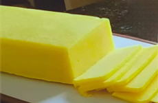 queijo-sem-leite-08-09111