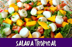 salada-tropical-27-0911