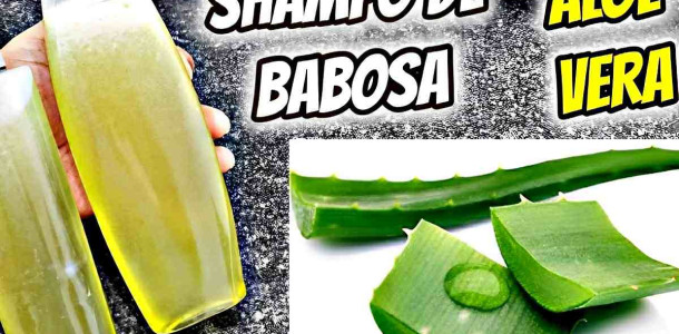 shampoo-de-babosa-caseiro-21-0911