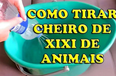 como-tirar-cheiro-de-urina-de-animais-12-10