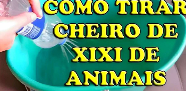 como-tirar-cheiro-de-urina-de-animais-12-10