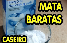 mata-baratas-caseiro-28-101