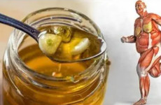 Se você consumir este remédio milagroso de mel e alho todos os dias, estas 9 coisas vão acontecer no seu corpo!