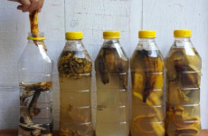 Mergulhe cascas de banana em 1 garrafa de água – o que acontece momentos depois