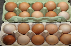 Criador de galinhas revela técnica mais eficaz para manter os ovos frescos por muito tempo
