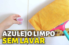 limpa-azulejo-13021