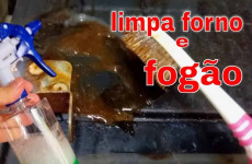 limpador-forno-3001