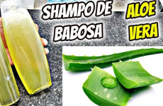 shampoo-babosa-19021