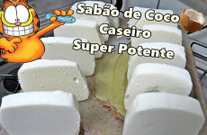 SABAO-DE-COCO-1203