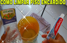 limpa-piso-11031