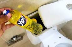 Segredo-de-diarista-Coloque-1-detergente-na-descarga-do-banheiro-e-veja-o-resultado-1