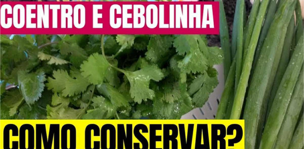 como-conservar-coentro-e-cebolinha-04041