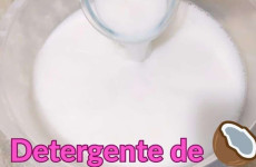 detergente-de-coco-1504