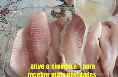 file-de-tilapia-assado-16041